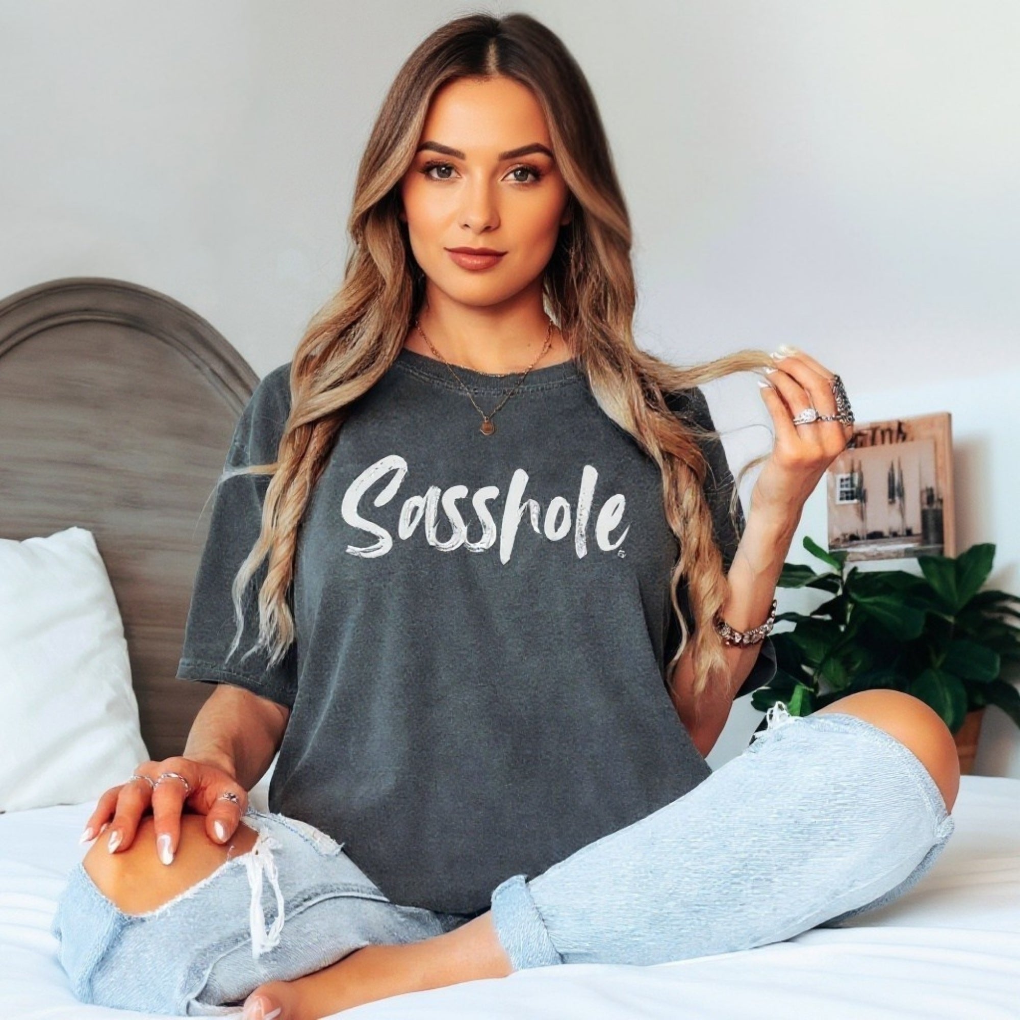 Image of Sasshole® Relaxed Fit Comfort Colors® T-Shirt Collection - Sasshole®