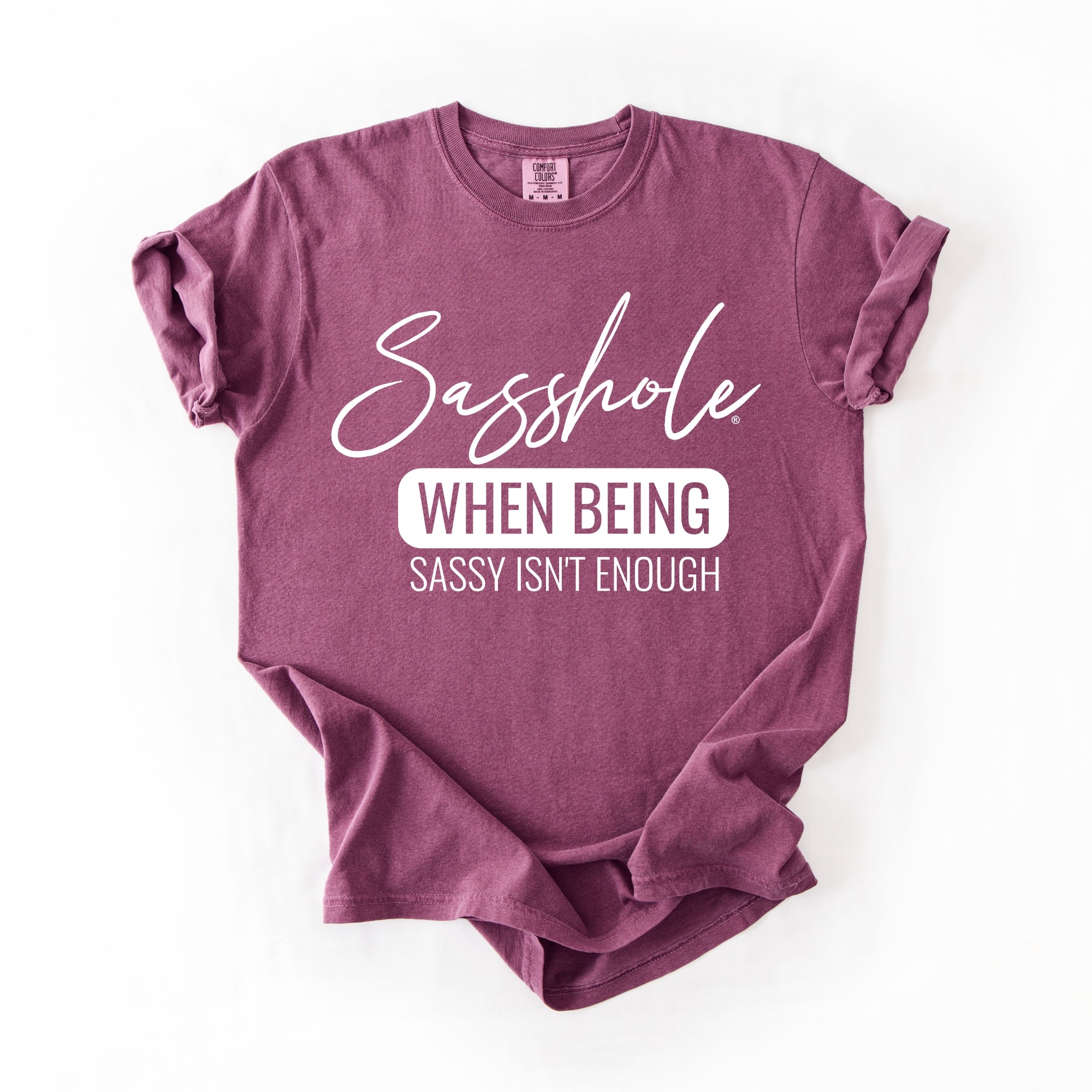 Image of Sasshole “When Being Sassy Isn’t Enough” Comfort Colors® Tee – Bold Graphic T-Shirt