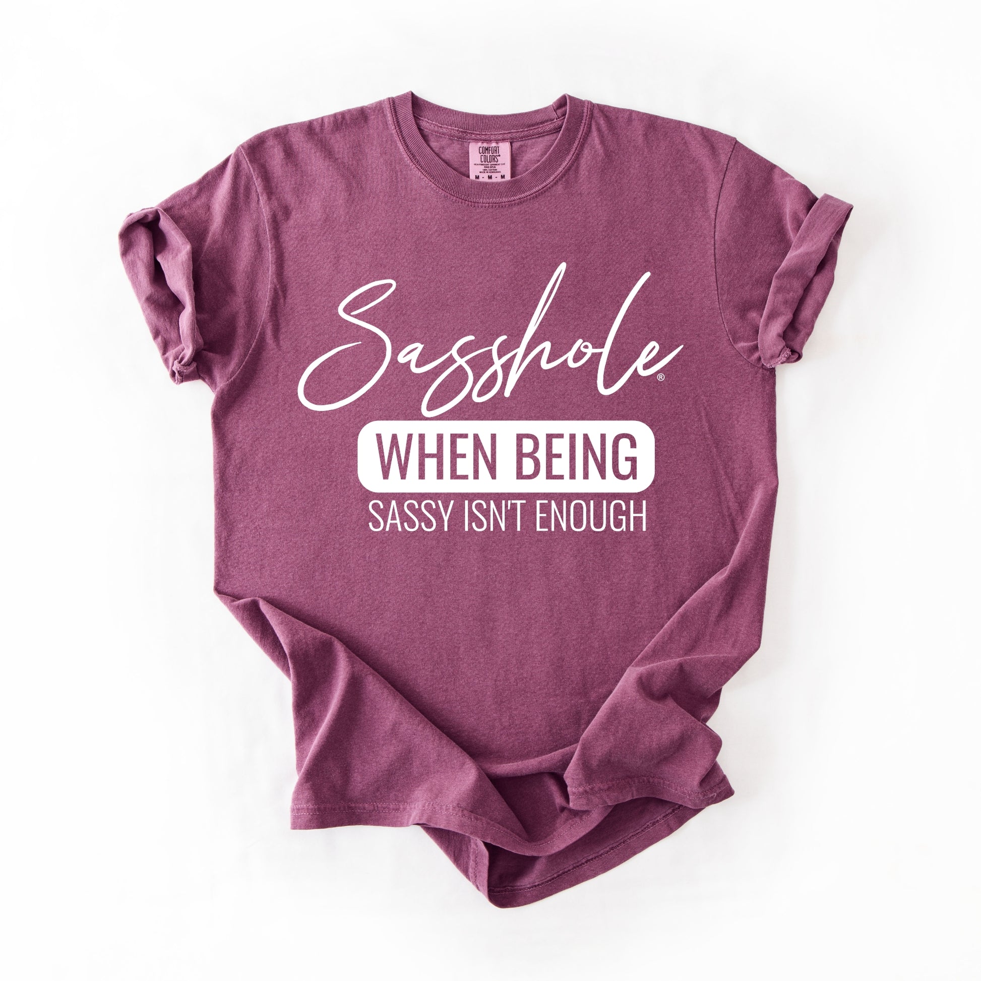 Sasshole “When Being Sassy Isn’t Enough” Comfort Colors® Tee – Bold Graphic T-Shirt