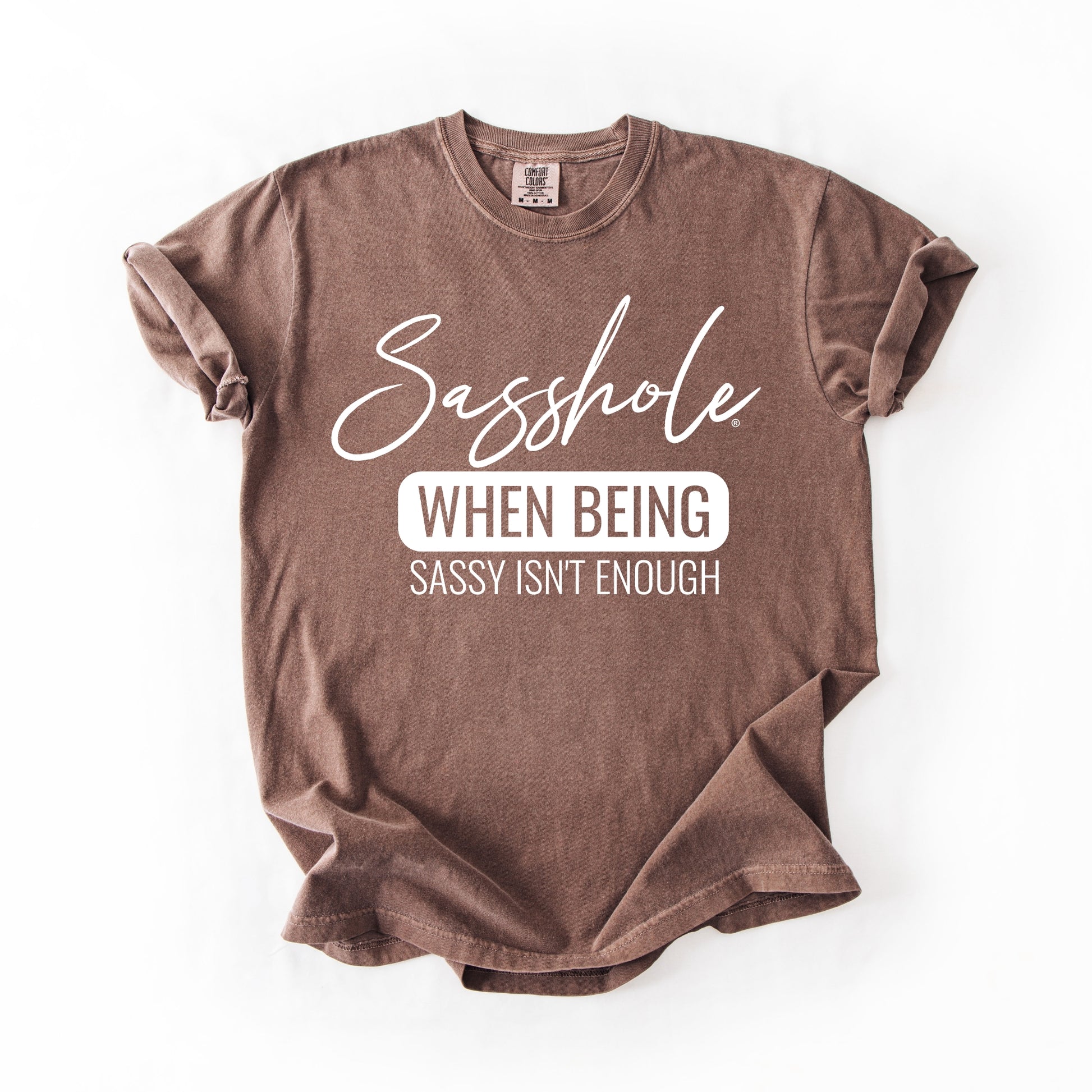 Sasshole “When Being Sassy Isn’t Enough” Comfort Colors® Tee – Bold Graphic T-Shirt