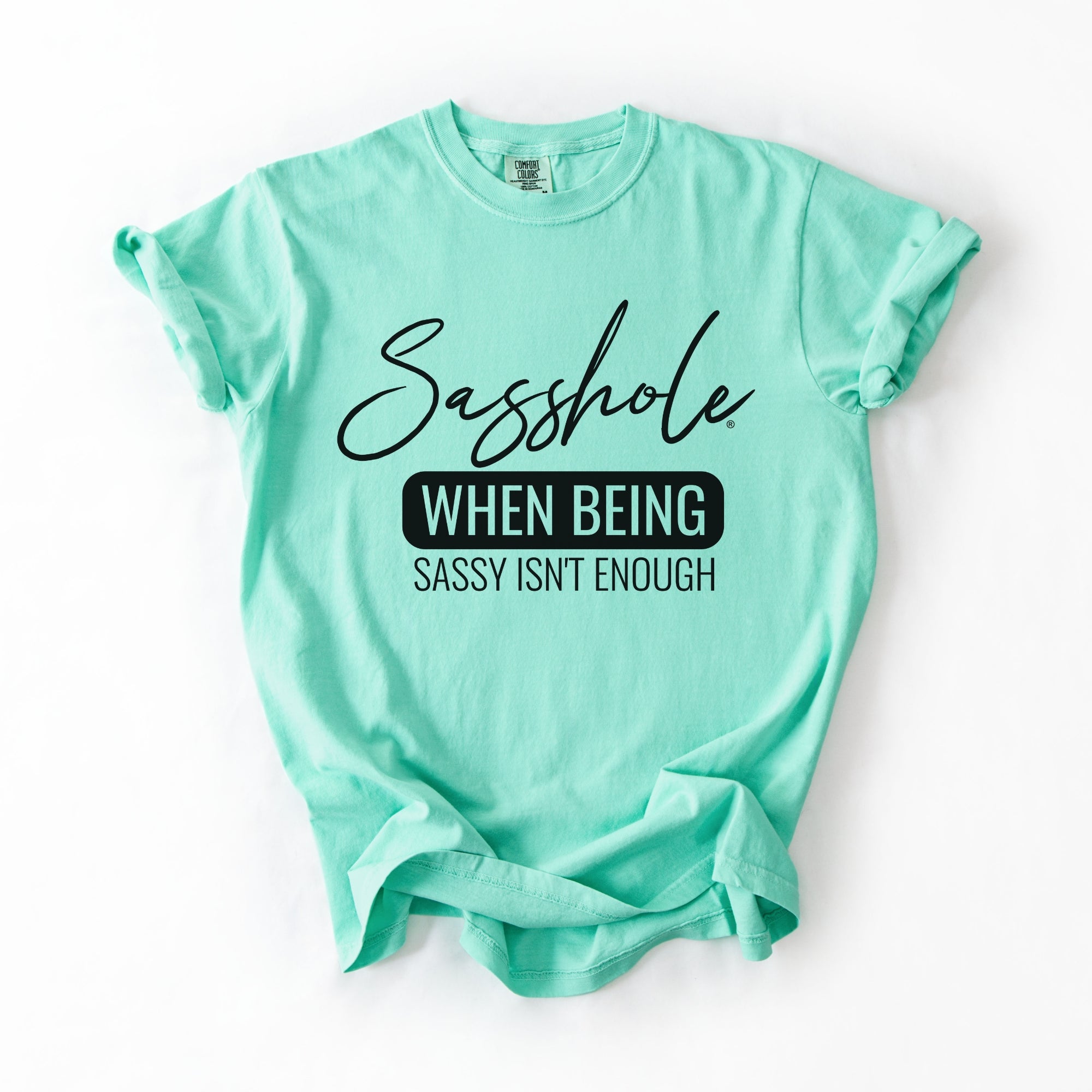Image of Sasshole “When Being Sassy Isn’t Enough” Comfort Colors® Tee – Bold Graphic T-Shirt