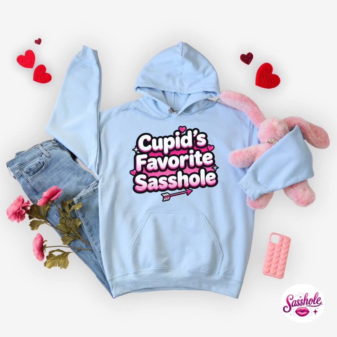 Light blue hoodie with 'Cupid's Favorite Sasshole' text, surrounded by denim jeans, pink plush toy, and decorative elements on a white background.
