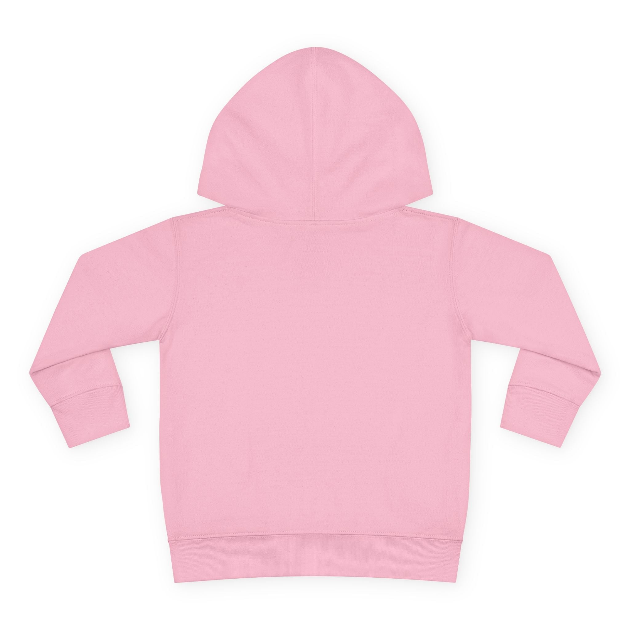 Image of Big Attitude – Toddler Hoodie | Bold Statement Shirt | Little Sasshole™ - Funny Graphic Tee by Sasshole® Clothing