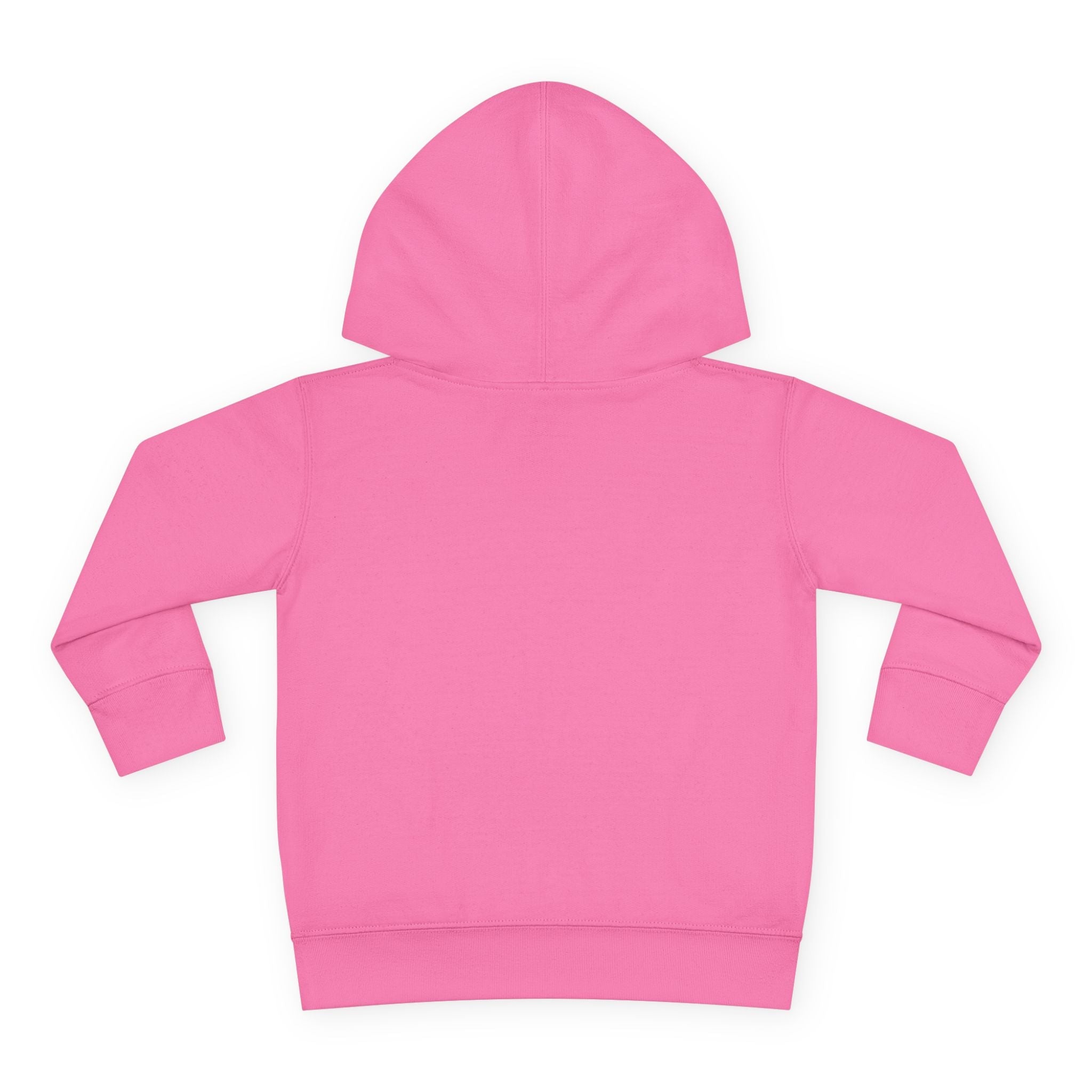Image of Big Attitude – Toddler Hoodie | Bold Statement Shirt | Little Sasshole™ - Funny Graphic Tee by Sasshole® Clothing