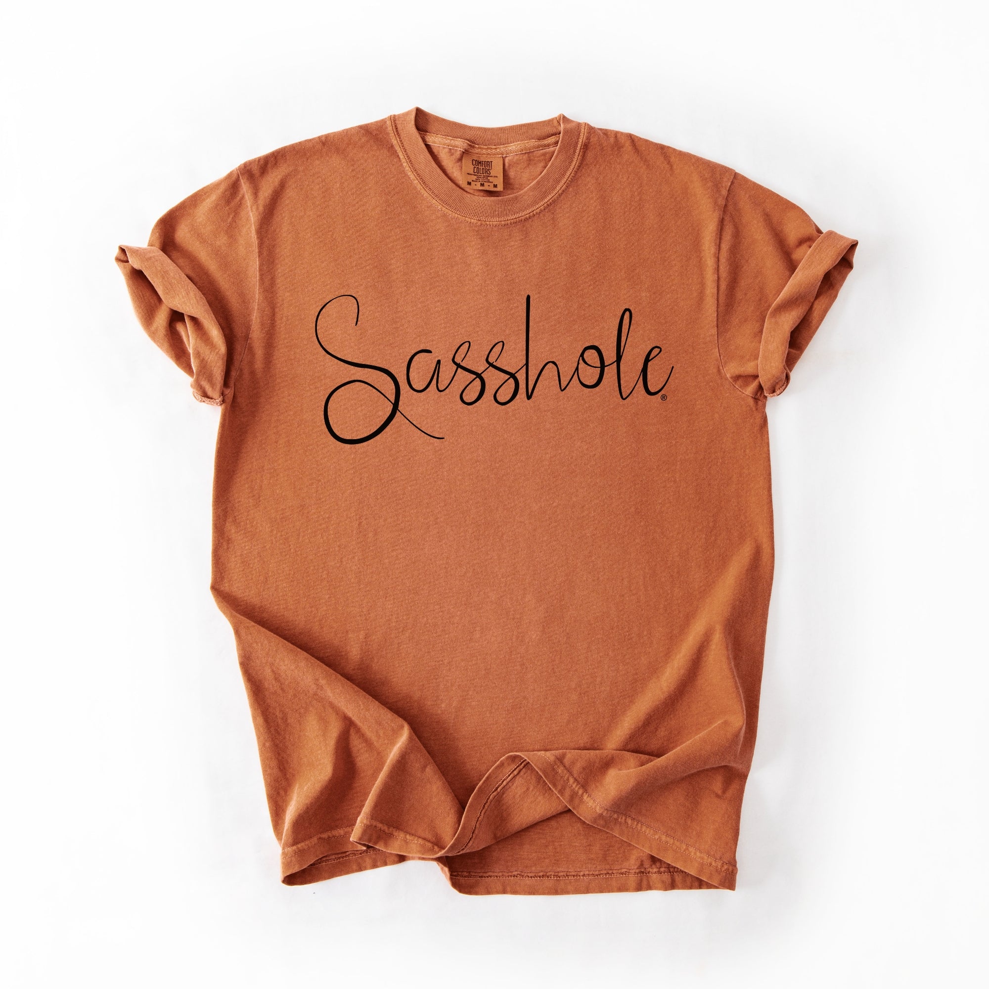 Image of Sasshole® Script T-Shirt – Sassy, Stylish, and Bold Women's Graphic Tee – Comfort Fit Statement Shirt - Funny Graphic Tee by Sasshole® Clothing